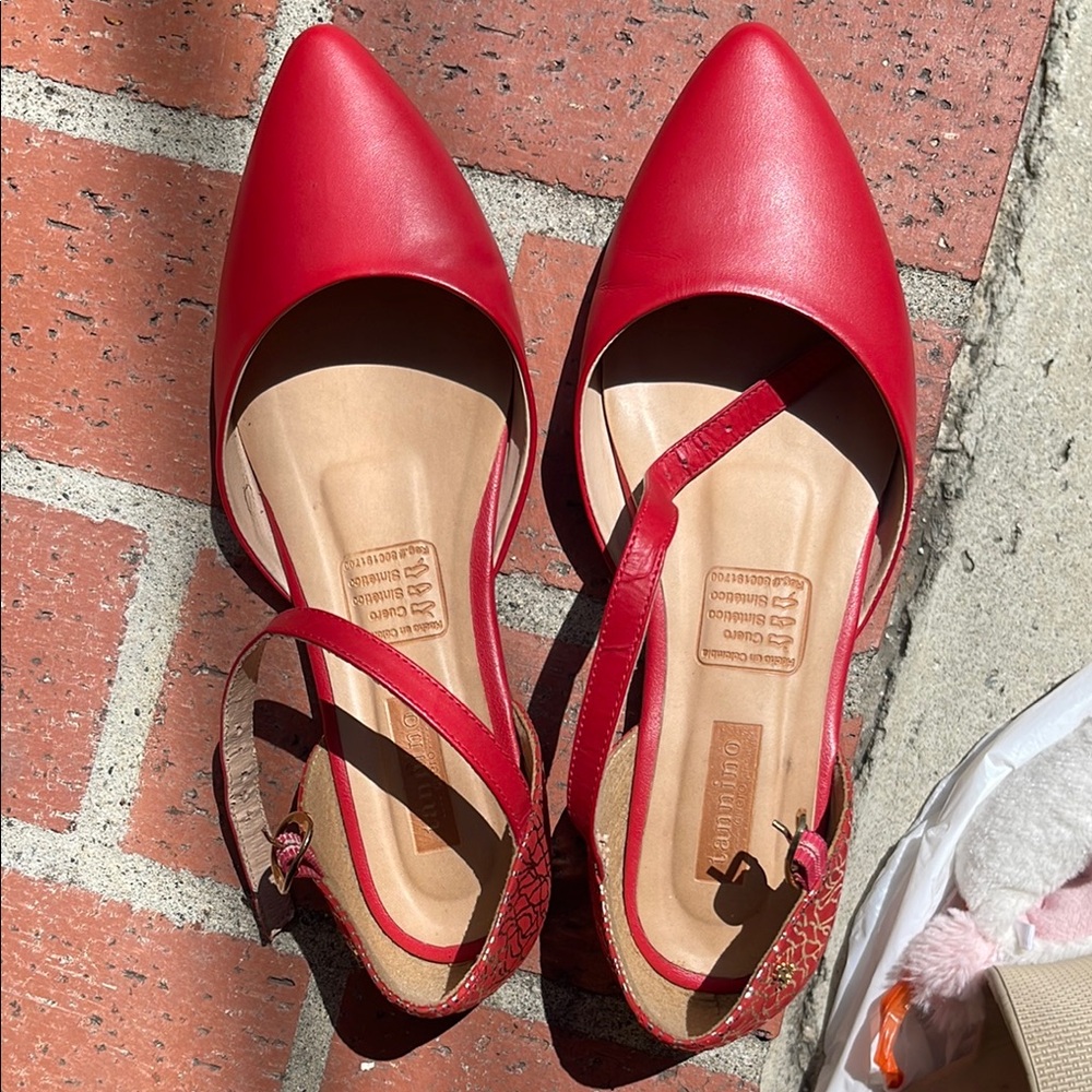 Vibrant Red Pointed-Toe Flats with Asymmetrical Strap